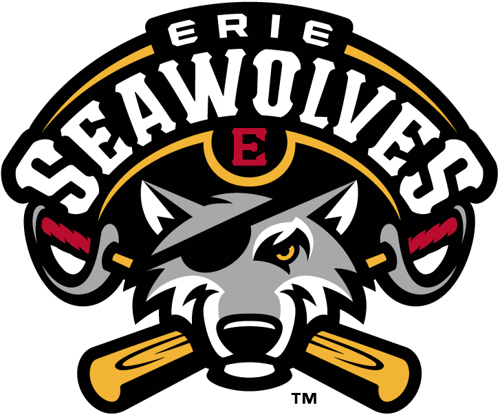 Erie SeaWolves iron ons